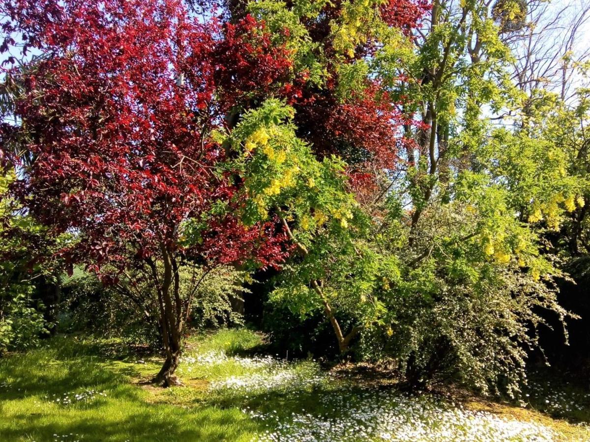 La Barberie A Saint-Marcouf Βίλα Εξωτερικό φωτογραφία